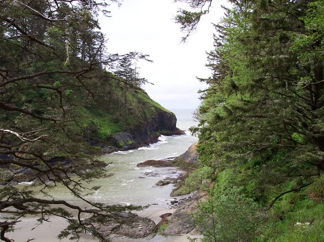 Cape Disappointment