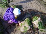 Sarah by Haystack Rock petting starfish