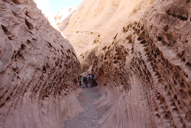 Richardsons in an interesting section of the Little Wild Horse Canyon Trail