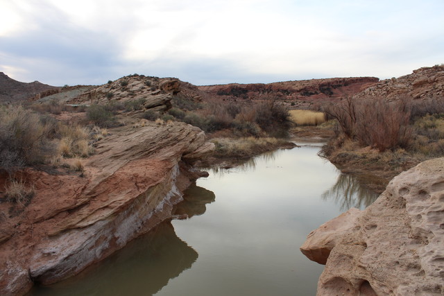 Pool on Delicate Arch Trail