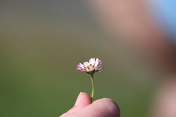 Sarah holding a Flower