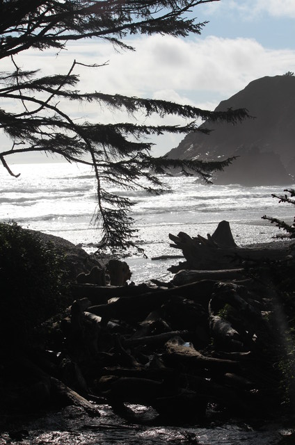 Indian Beach at Ecola State Park