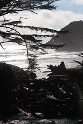 Indian Beach at Ecola State Park