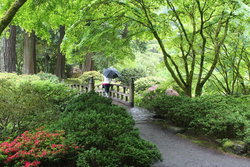 Portland Japanese Garden