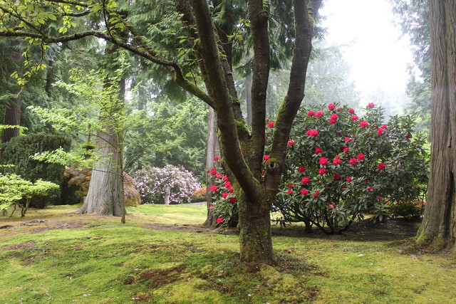 Portland Japanese Garden