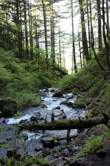 Upper Horseshoe Falls