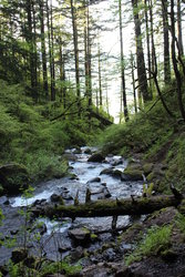 Upper Horseshoe Falls