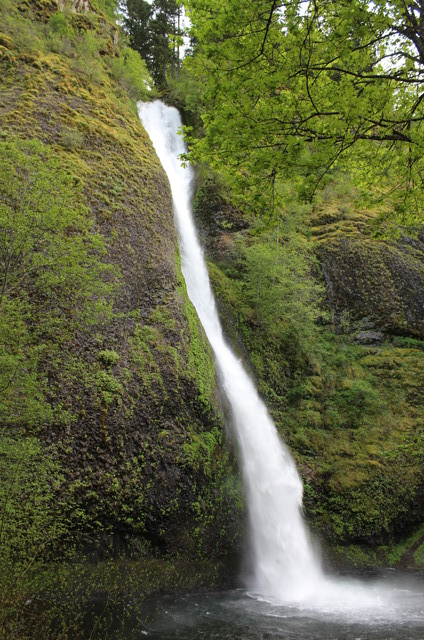 Lower Horseshoe Falls