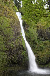 Lower Horseshoe Falls