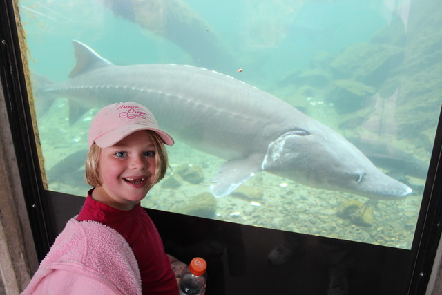 Sarah at Bonneville Dam Fish Hatchery