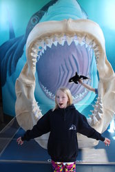 Emma at Oregon State Aquarium