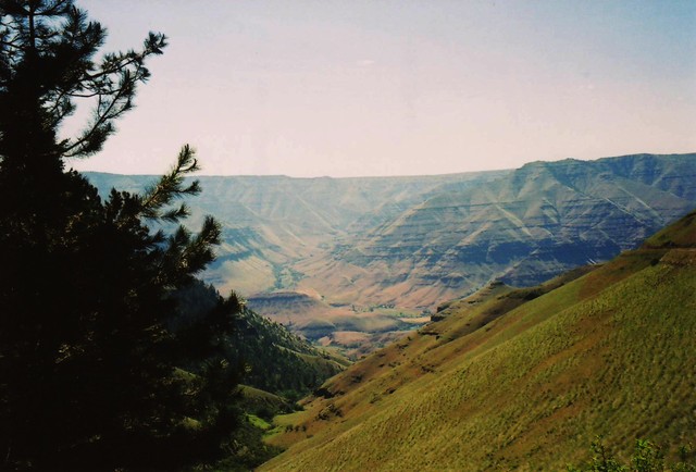 View from Road to Hug Point