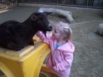 Sarah petting a goat at the San Diego Zoo
