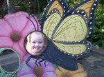 Sarah the butterfly at the San Diego Zoo
