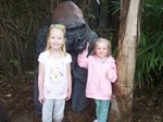 Sarah and Emma at the San Diego Zoo with a gorilla