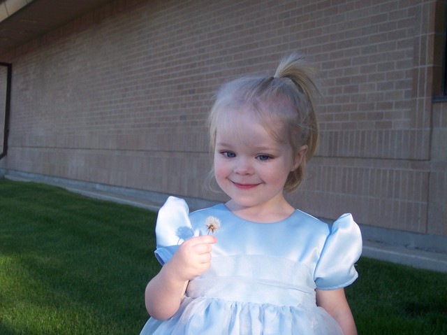 Sarah at Amelia's Wedding