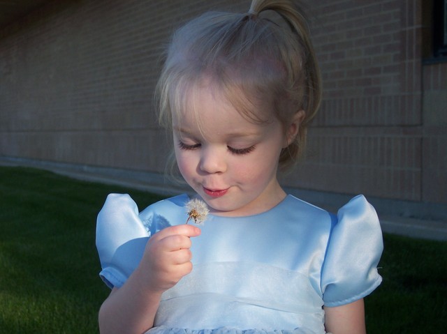 Sarah at Amelia's Wedding