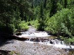 On Doughnut Falls trail