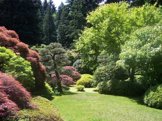 Japanese Garden in Portland