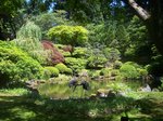 Japanese Garden in Portland