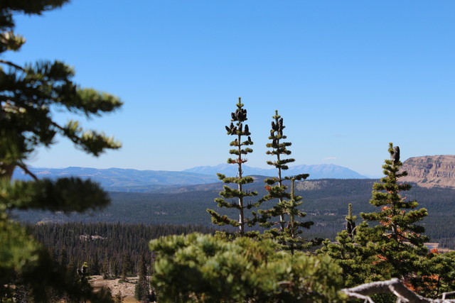 View from Bald Mountain Trail