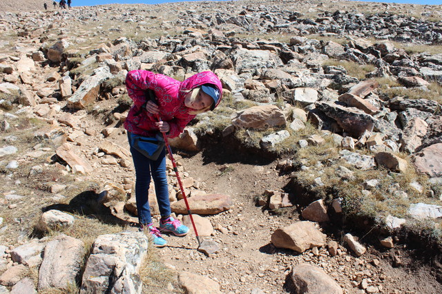 Emma on the Bald Mountain Trail