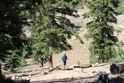 Tom on the Bald Mountain Trail