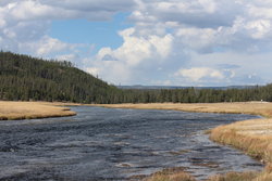 Yellowstone