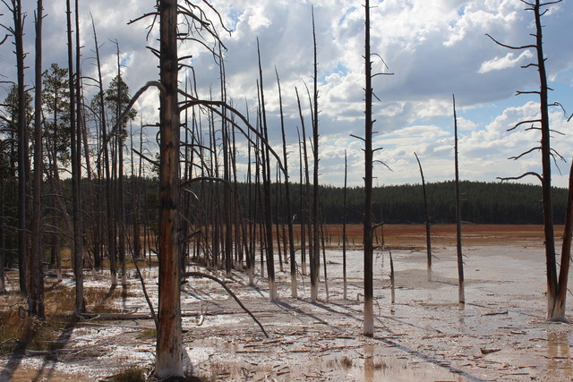 Yellowstone