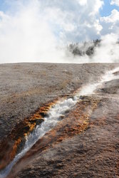 Yellowstone