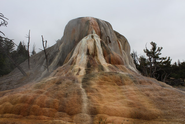 Mammoth Hot Springs