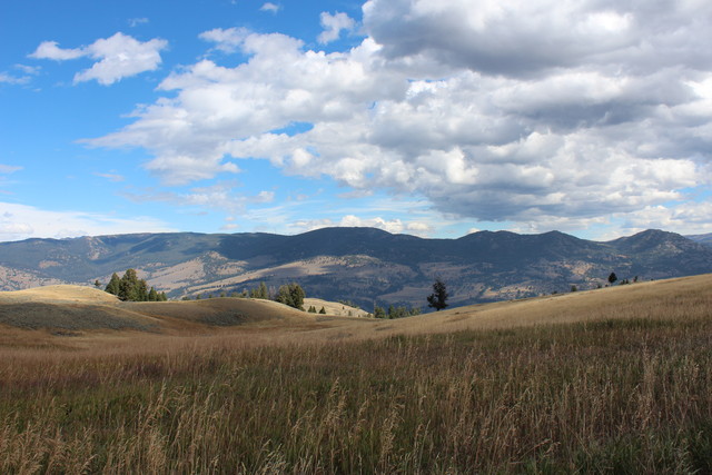 Yellowstone