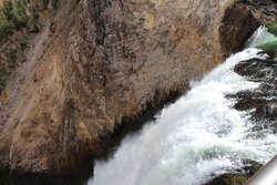 Lower Falls Brink in Yellowstone