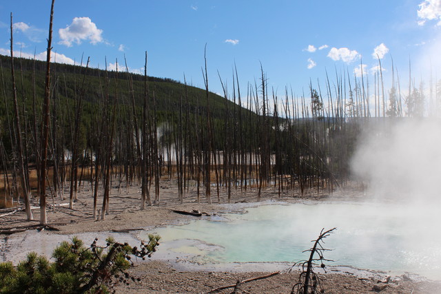 Yellowstone