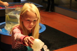 Emma at the OMSI